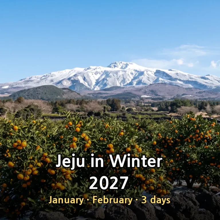 jeju in winter thumb