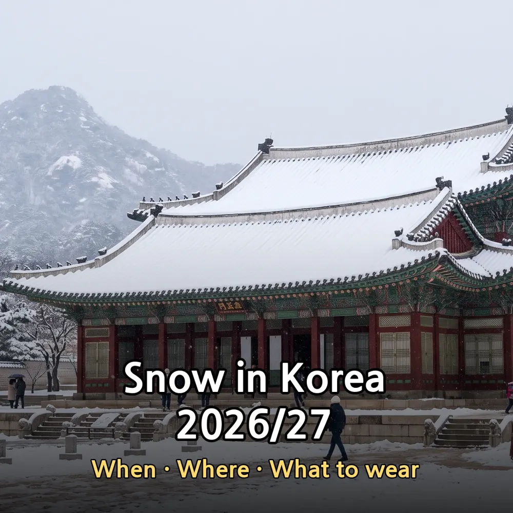 snow in korea thumb